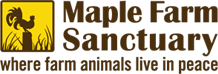 Maple Farm Animal Sanctuary - Mendon MASS