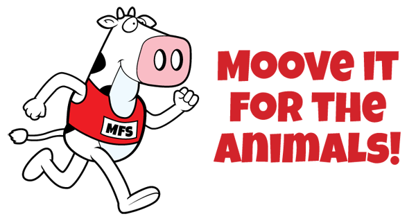 moove_it_logo.png